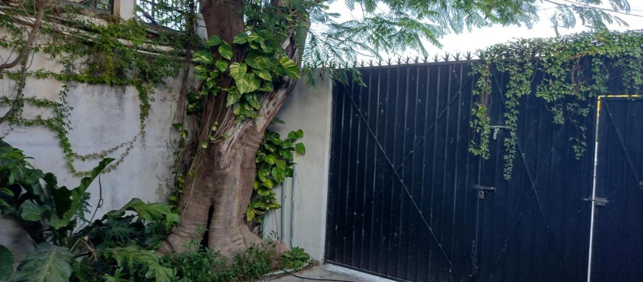 Estudio Zona Centro Cerca De La Terminal Ado Cancún Exterior foto